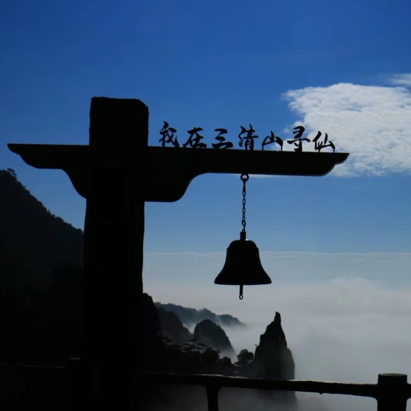 靓树逢春11455252