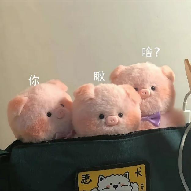 微信用户11463797