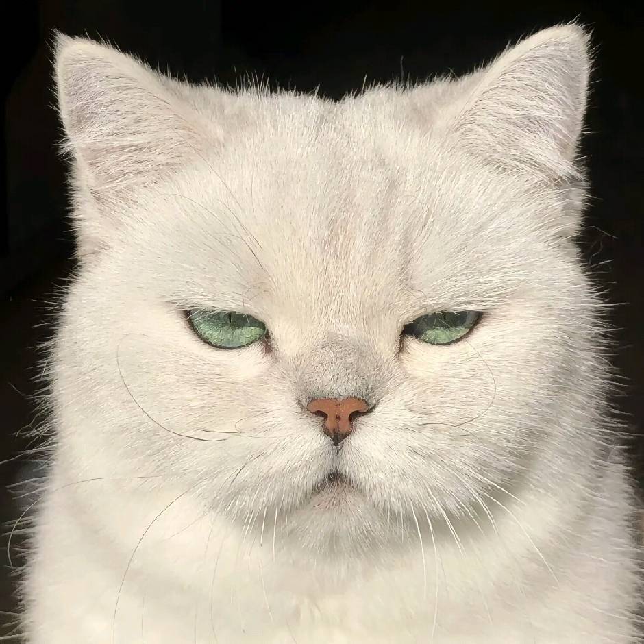 柳醣卿忱ᥫᩣ༠°11529678