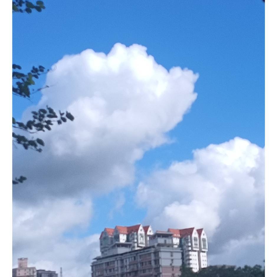 难忘岁月11554964