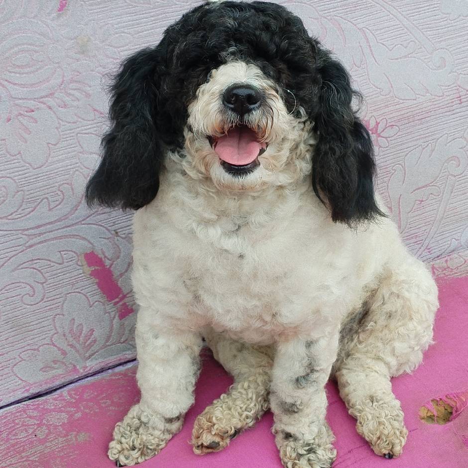 有你很幸福11555346