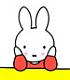 爱胡萝卜的兔兔