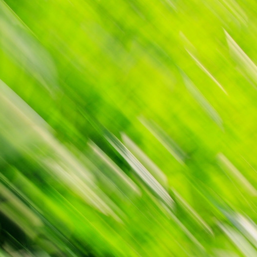 Ķ