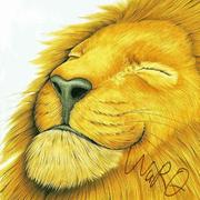 仁慈的狮子5