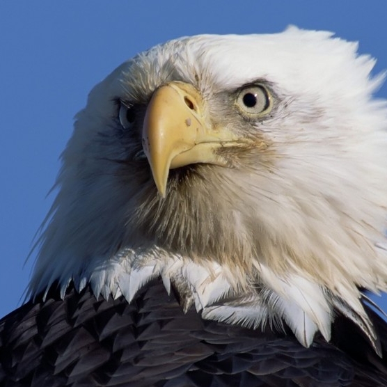 【旅行摄影师】